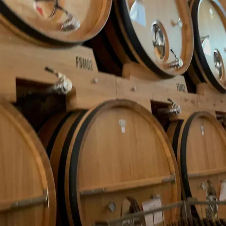 The Way * Molinaseca