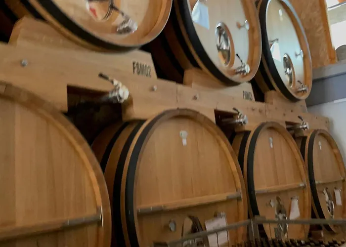 The Way * 몰리나세카