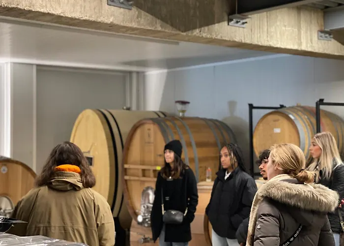 The Way 몰리나세카